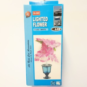 Flower light LED 10-30 V