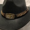 Longhorn hatband